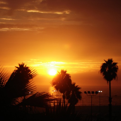 Immagine Sedia Miral